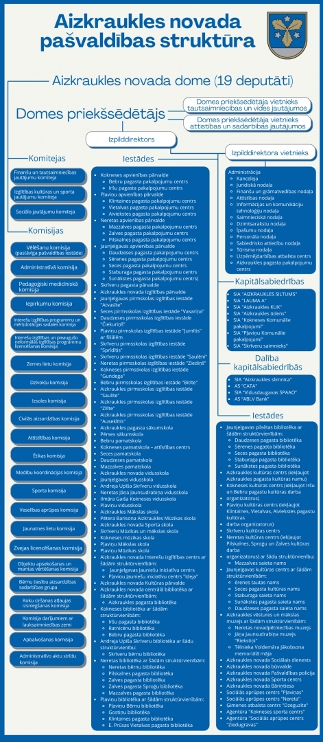 infografika - struktūra