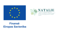 eu + natalie projekta logo