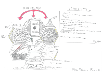 Izveidotā kukaiņu māju skice