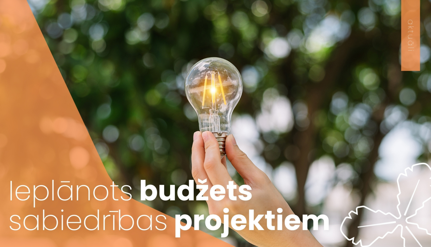 Ieplānots budžets sabiedrības projektiem