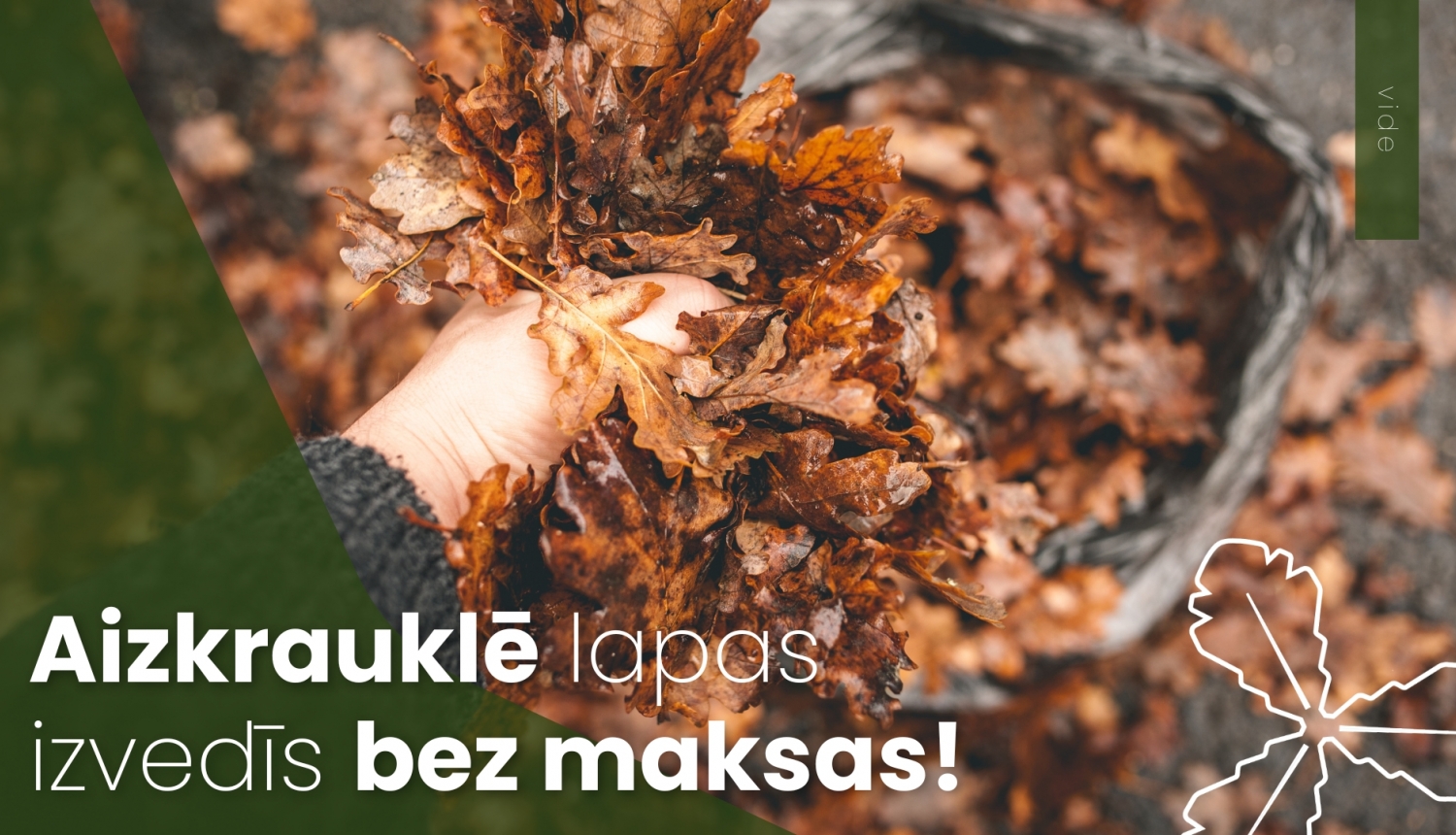 Aizkrauklē lapas izvedīs bez maksas