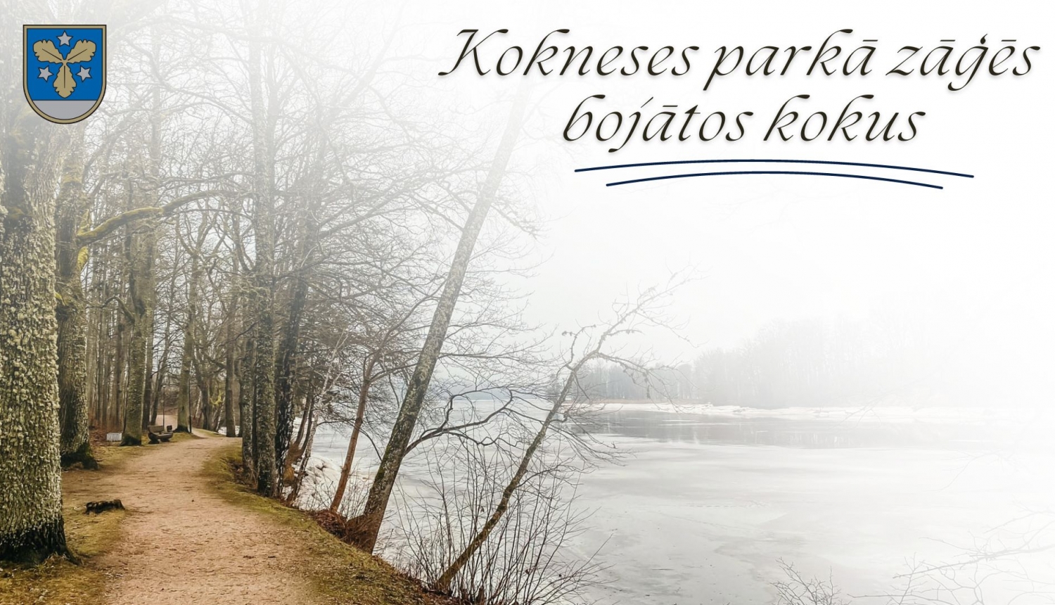 kokneses parks