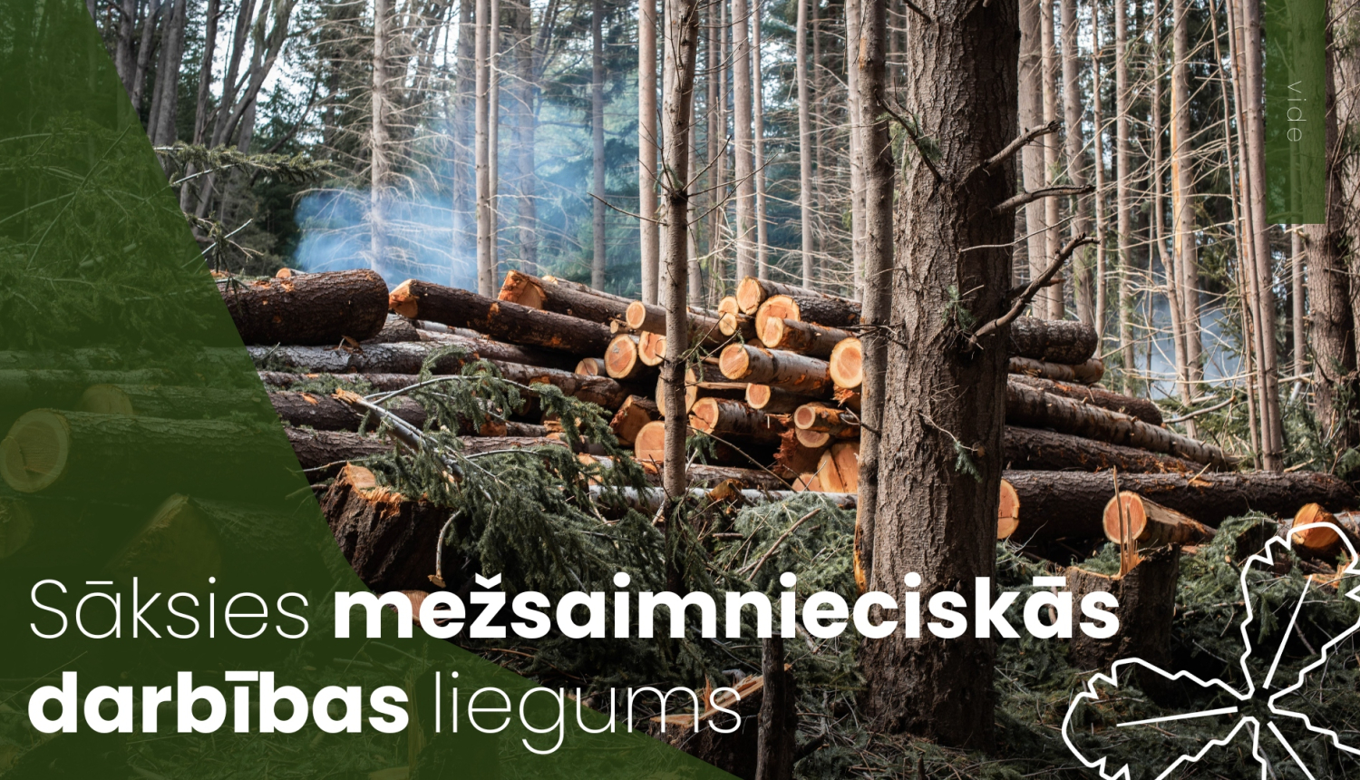 sāksies mežsaimniecieciskās darbības liegums