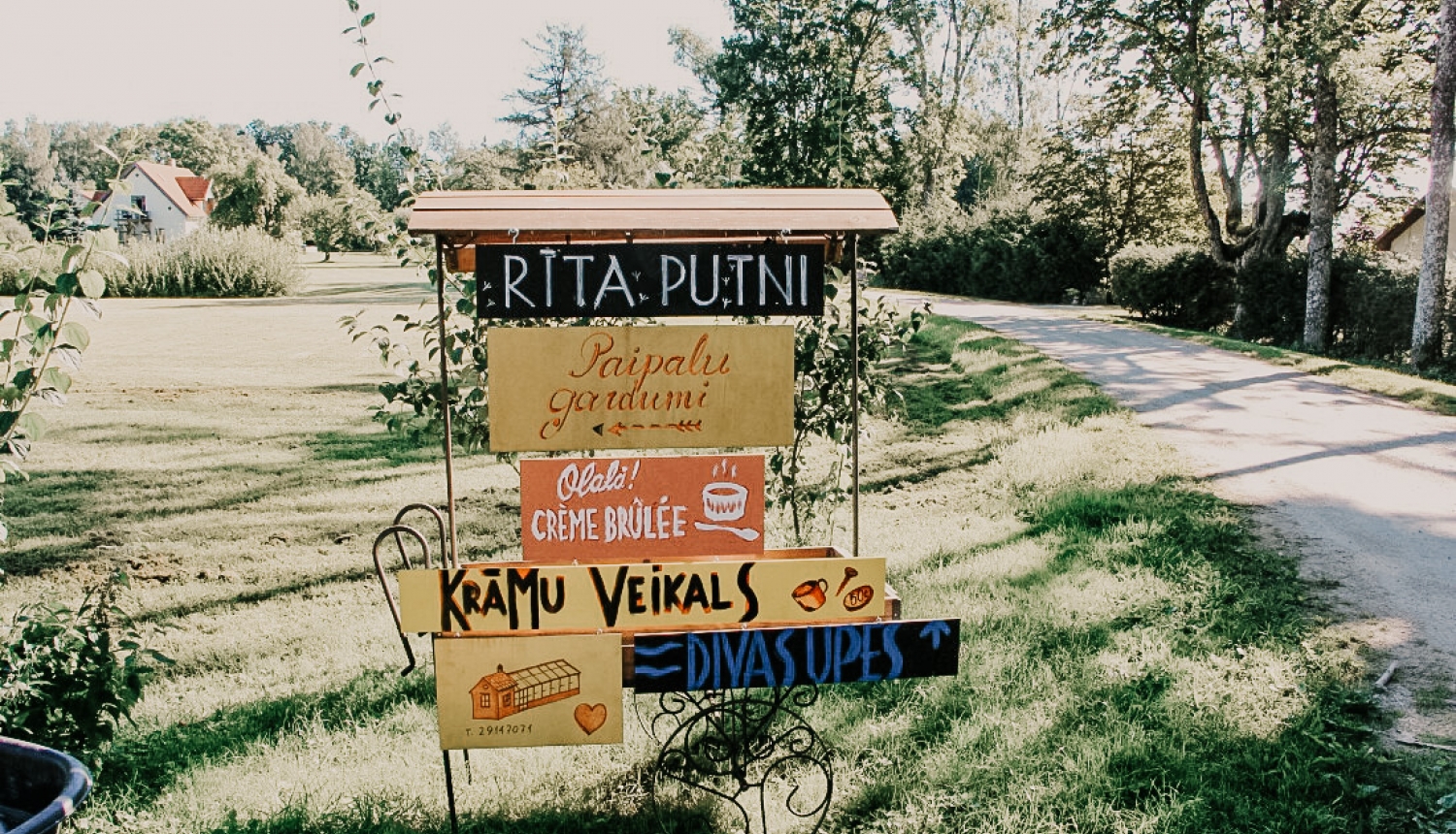 rīta putni