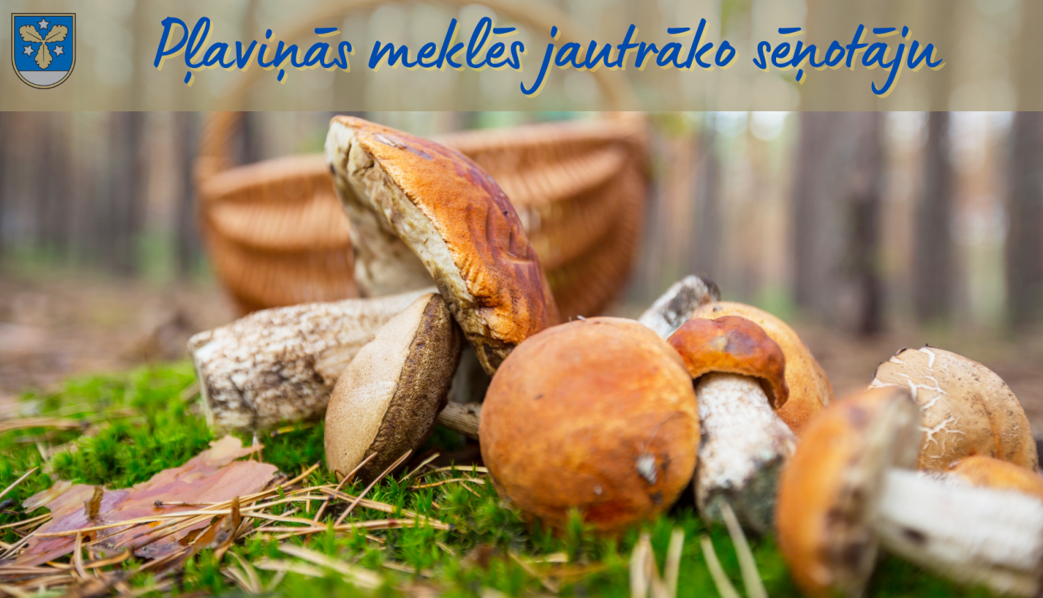 Pļaviņās meklēs jautrāko sēņotāju