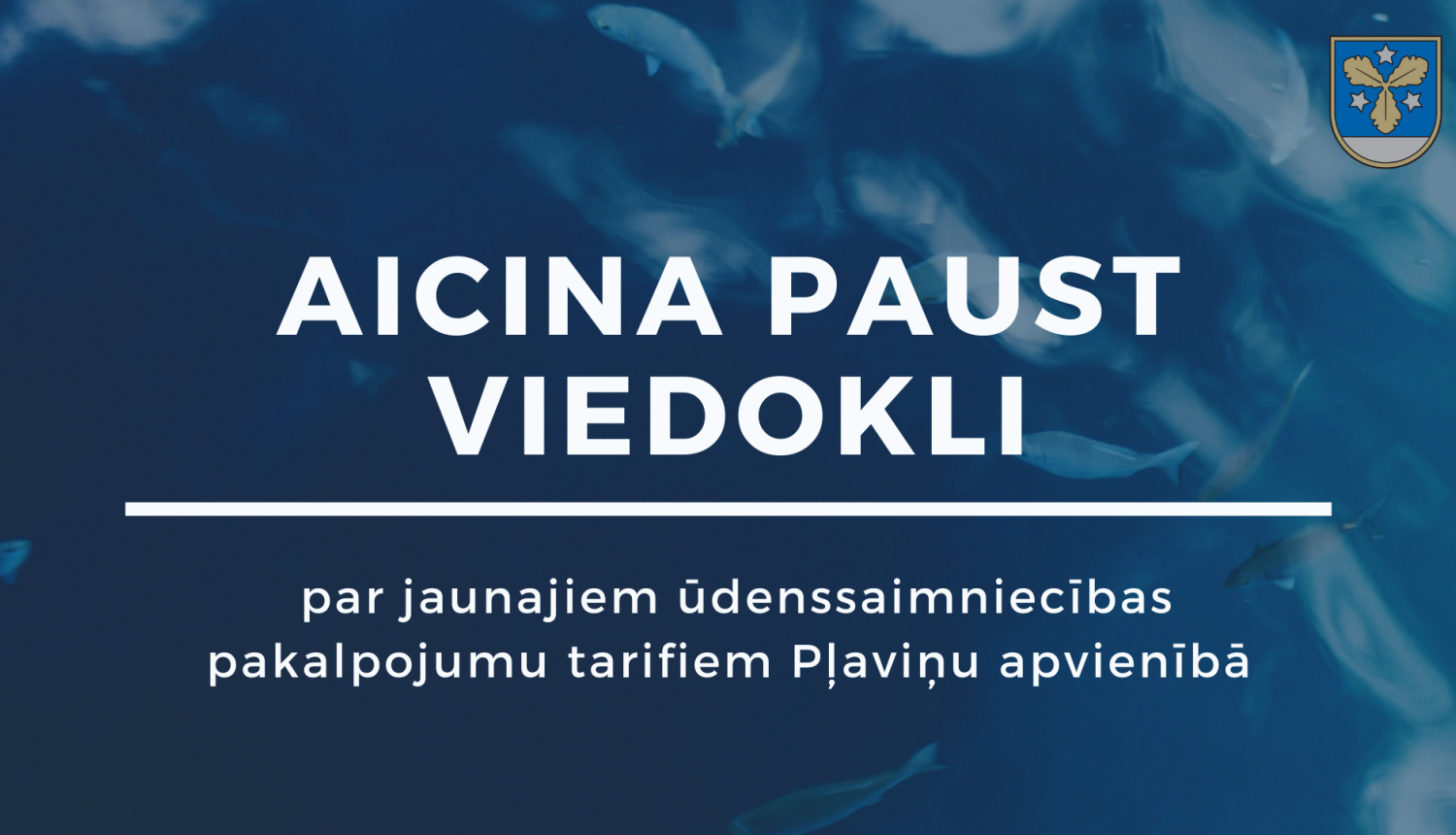 Aicina paust vidokli