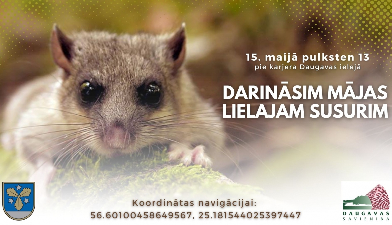 darināsim mājas lielajam susurim